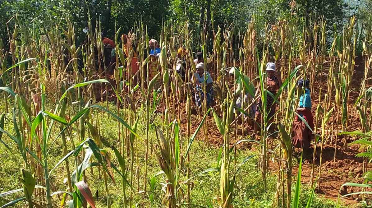 RWANDA Le donne di Semi di futuro